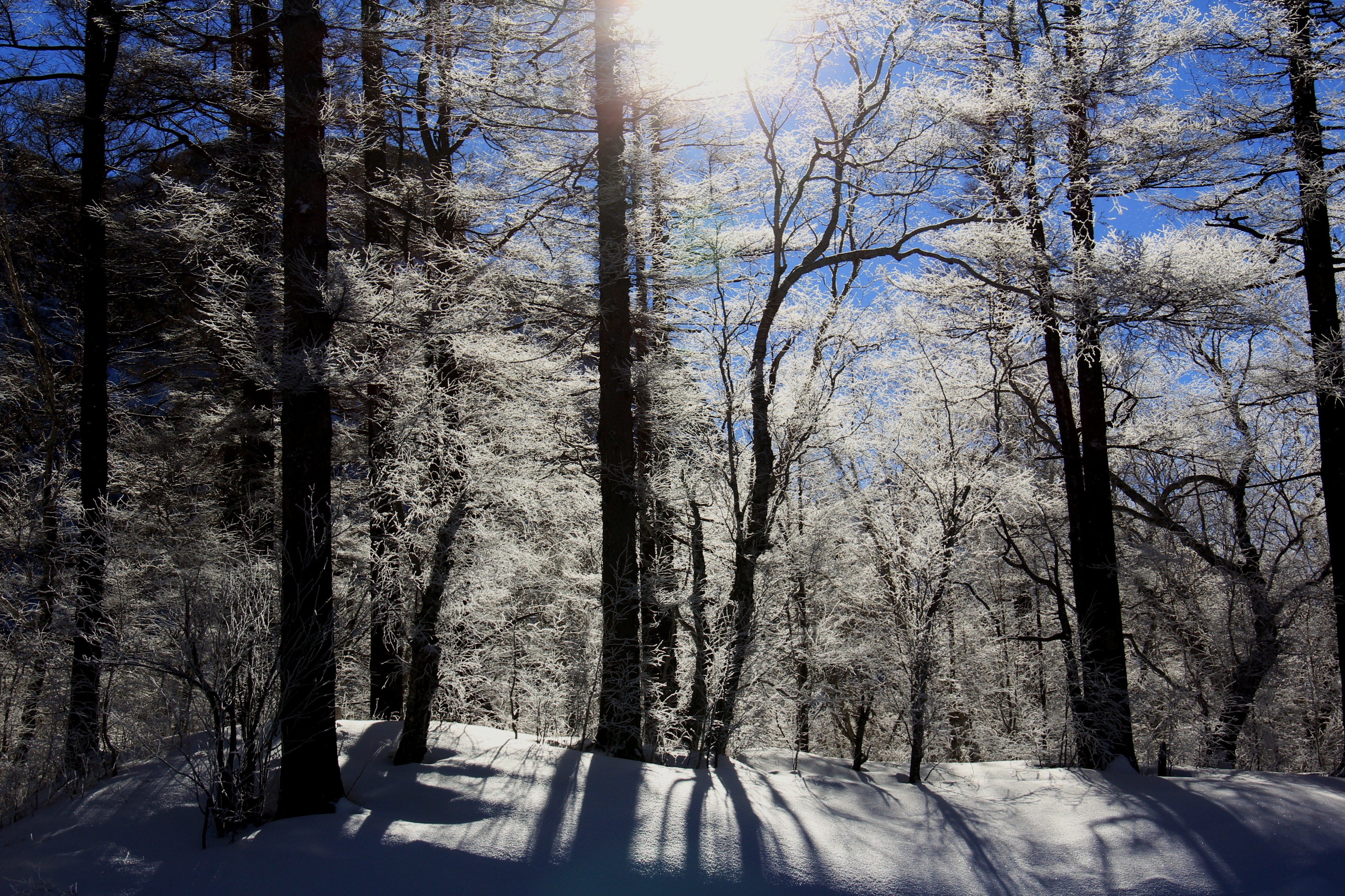 东北二人转(长白山,雪乡,哈尔滨冬游记)