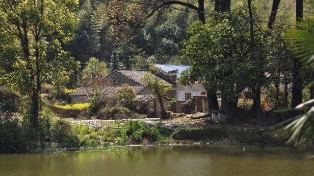鱼山坞门票,鄱阳鱼山坞攻略/地址/图片/门票价格【携程攻略】