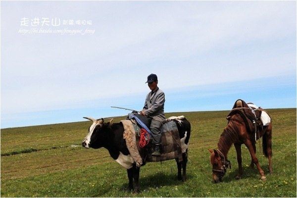 騎牛牽馬的哈薩克牧民.