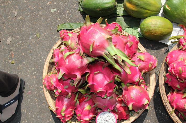 温哥华市内观光亲子游攻略 含签证事宜与美食