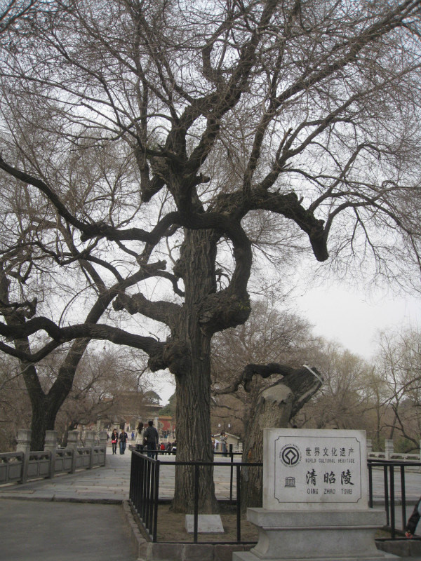 沈阳昭陵 - 沈阳游记攻略【携程攻略】