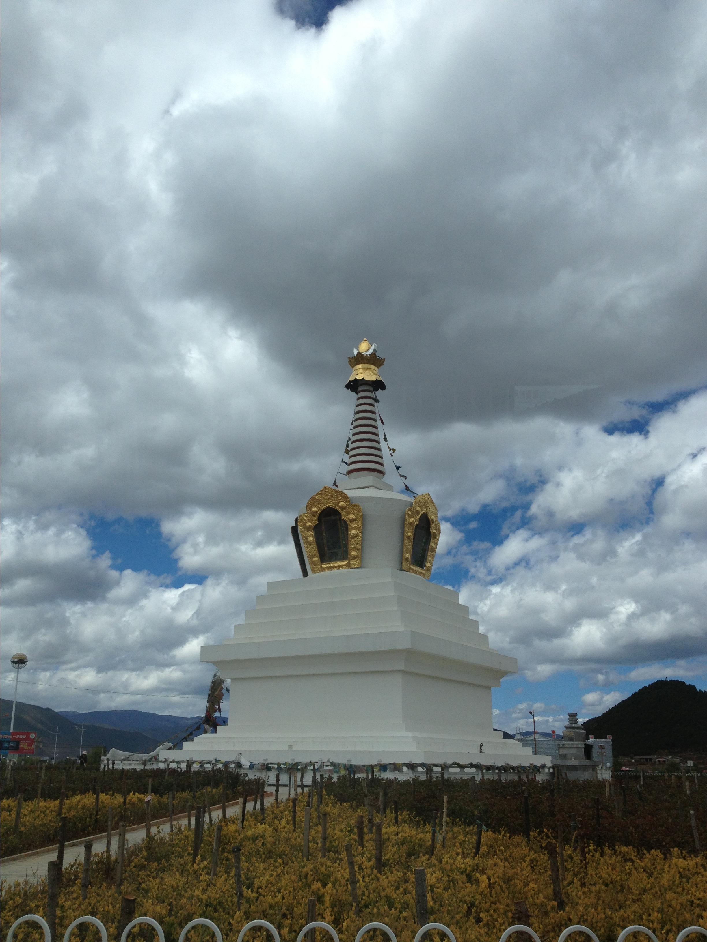 麗江/香格里拉,天藍雲白花兒美到爆