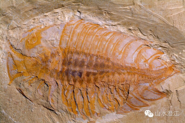 澄江抚仙湖最新景点,出行路线,旅游攻略!