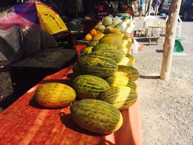 在瓜州312国道上有好多卖瓜的小摊