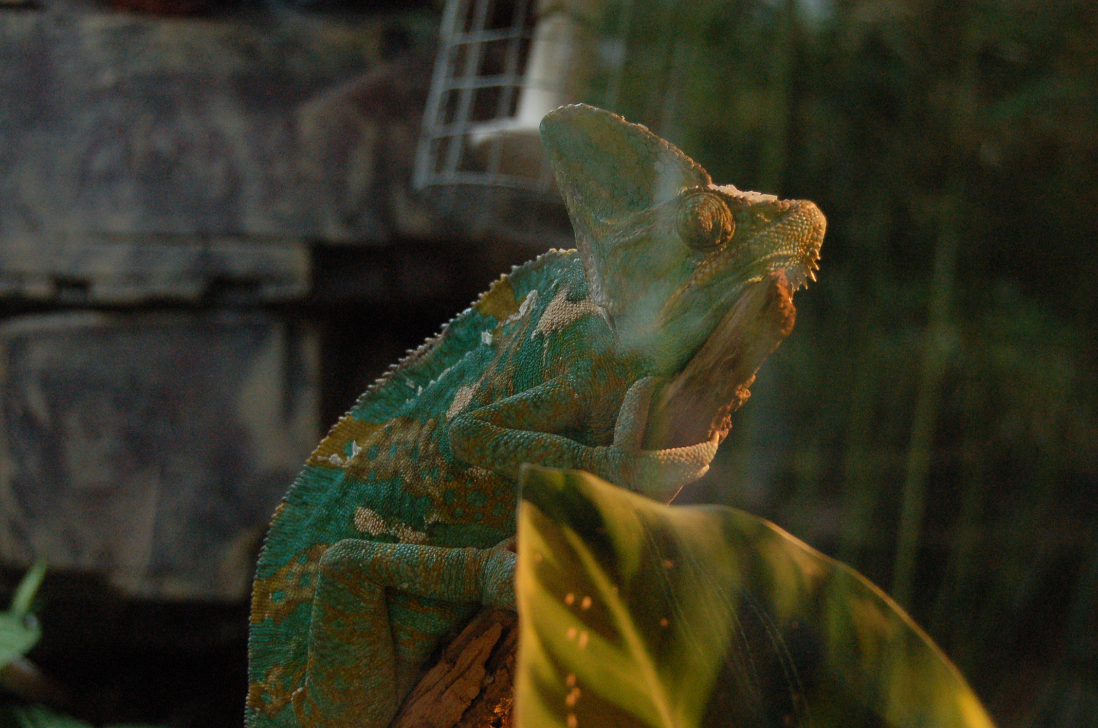 浪漫之都大连四日行 - 大连游记攻略【携程攻略】