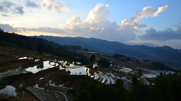 國內主要的梯田景觀有浙江雲和梯田,廣西龍脊梯田和雲南哈尼梯田.