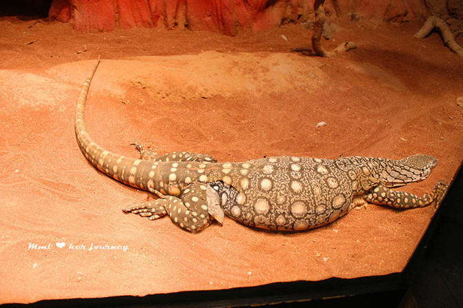 5月澳大利亚摄影之行,城市、沙漠、海边的穿越