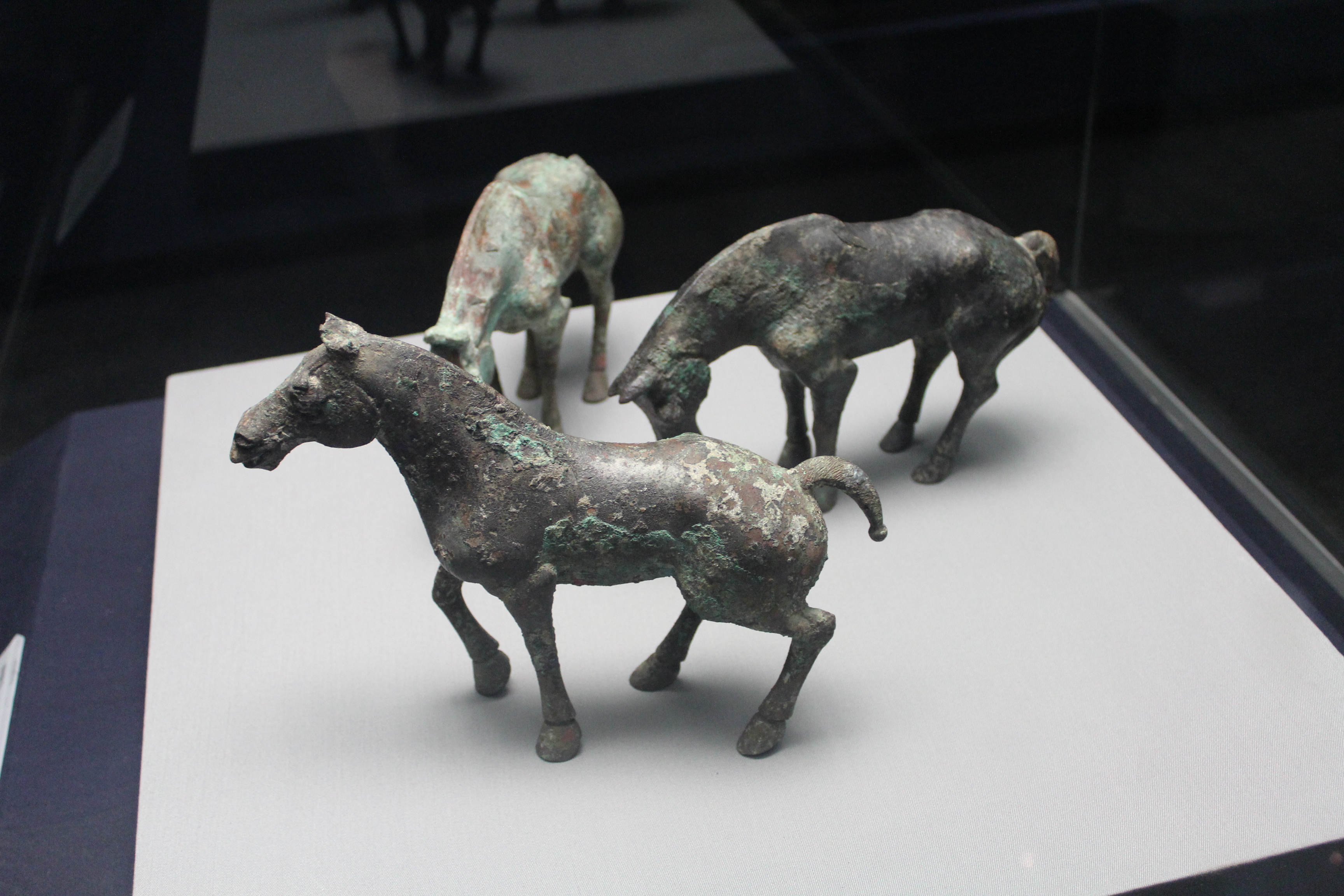 陈列馆里的青铜马 秦始皇兵马俑博物馆