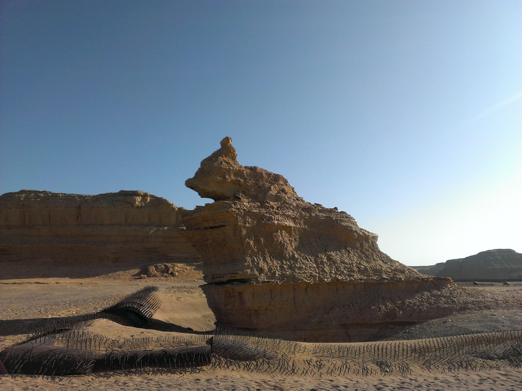 (原创)万里西风瀚海沙,2013年元旦西游行--开在尘沙里的花