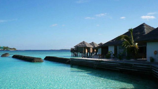 4分 (21条点评) 5 皇家岛(royalisland)是一座四星岛屿,位于马尔代夫