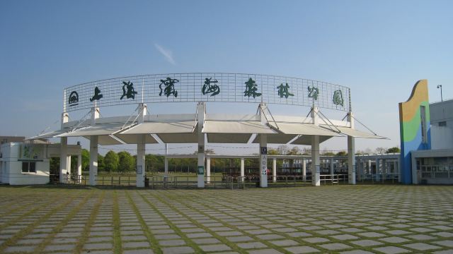 上海滨海森林公园门票,上海上海滨海森林公园攻略/地址/图片/门票价格