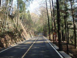 找点空闲,找点时间,领着妈妈,常出门看看--201